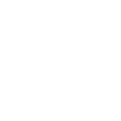 Board & Dice