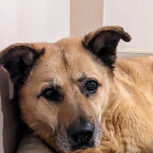 Poparzeni Chłodnikiem 7